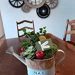 La Reine-des-prés - Chez Myriam Miam Miam Frühstückspension Vernamiège